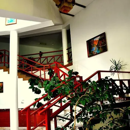 Sonyachna Polyana (Transcarpathia)